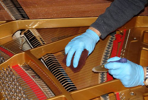 Vệ sinh đàn (Cleaning)