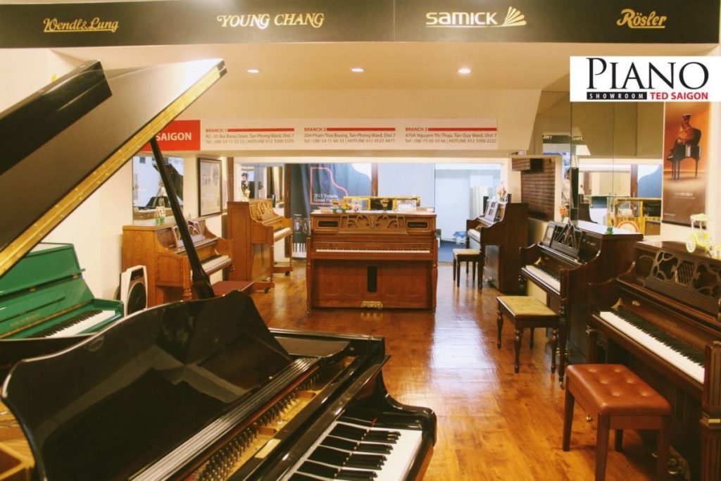 Showroom TED SAIGON
