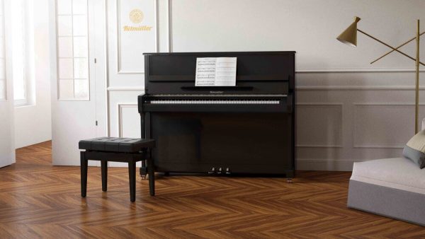 Ritmuller RSH 123 – Chất lượng Châu Âu, giá tiền Châu Á