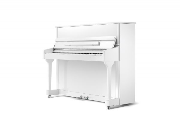 PEARL RIVER EU118S – LỰA CHỌN “HOÀN HẢO” CHO NGƯỜI MỚI BẮT ĐẦU