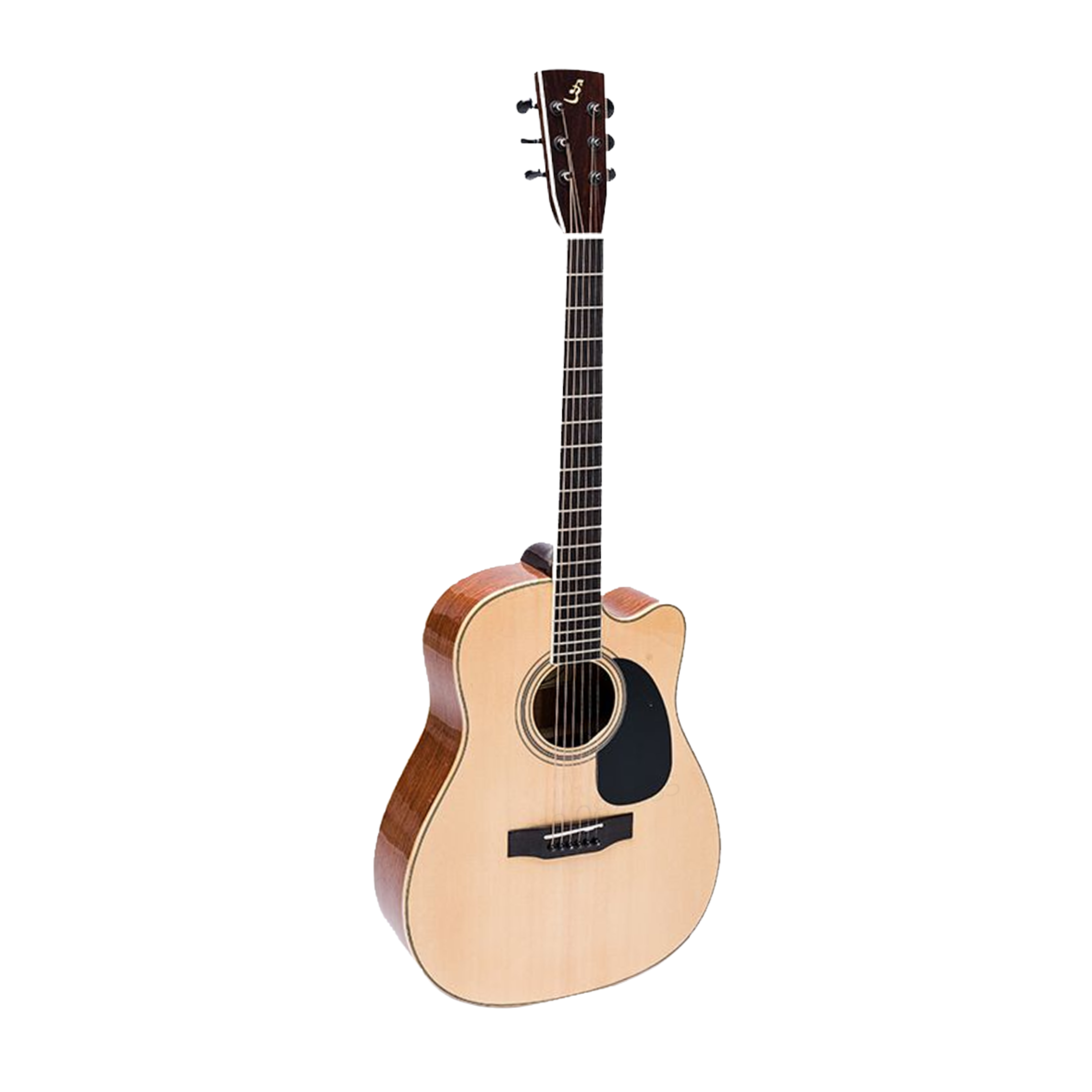 Đàn Guitar Acoustic J-260