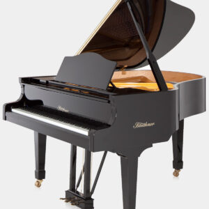 Blüthner Model 10