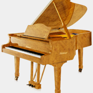 Blüthner Model 6