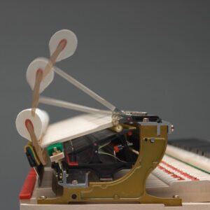 AUTO-DRAFT