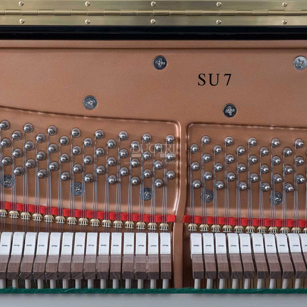 TED SAIGON PIANO