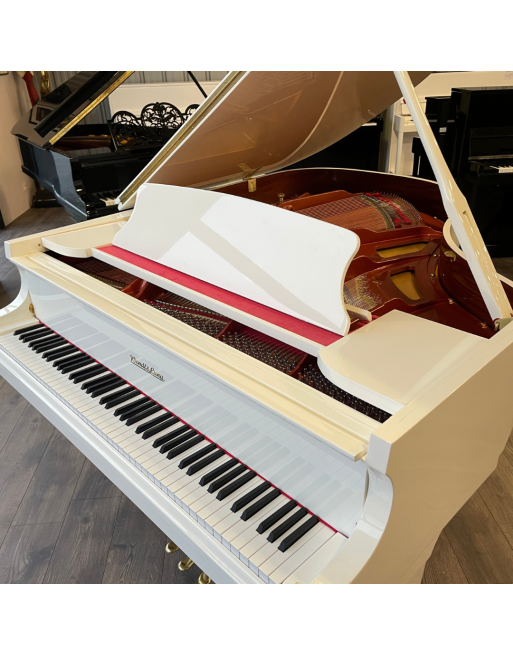 TED SAIGON PIANO