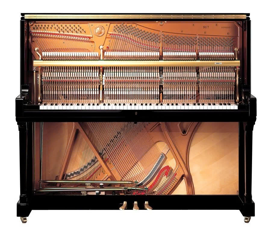 TED SAIGON PIANO