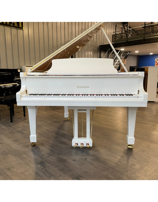 TED SAIGON PIANO